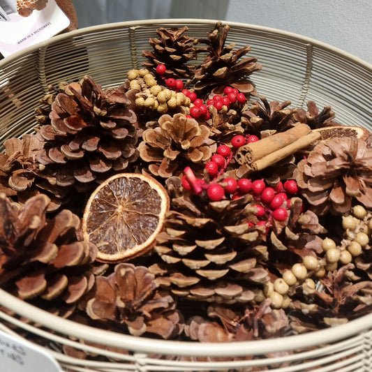 Cinnamon Cones & Berries